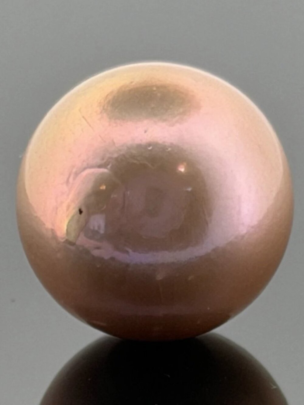 Certified 18.7mm Loose Lilac Freshwater Bead Cultured Pearl Undrilled Superior